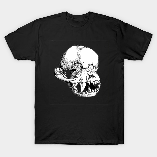 Boston Terrier Skull T-Shirt by Art of V. Cook